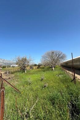 Agricultural Land Plot προς Sale - KOROPI, ATTICA